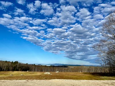 View from the house in early spring.