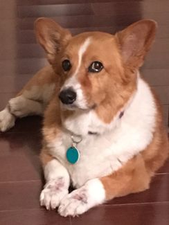 iPhone Photo (3) - Copy.JPG