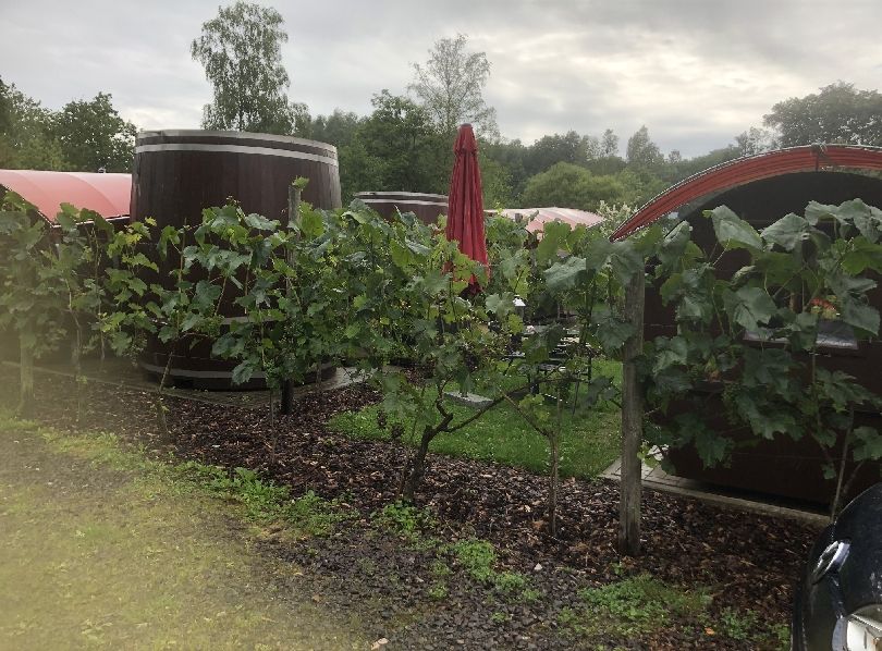 Hotel Weindorf am Weinstrand im Saarland