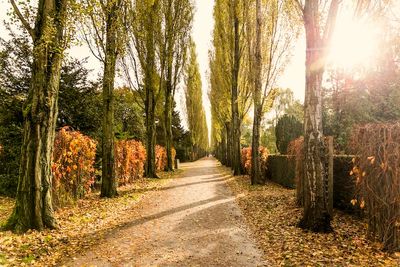 Autunno decorazioni autunnali airbnb foglie natura.jpg