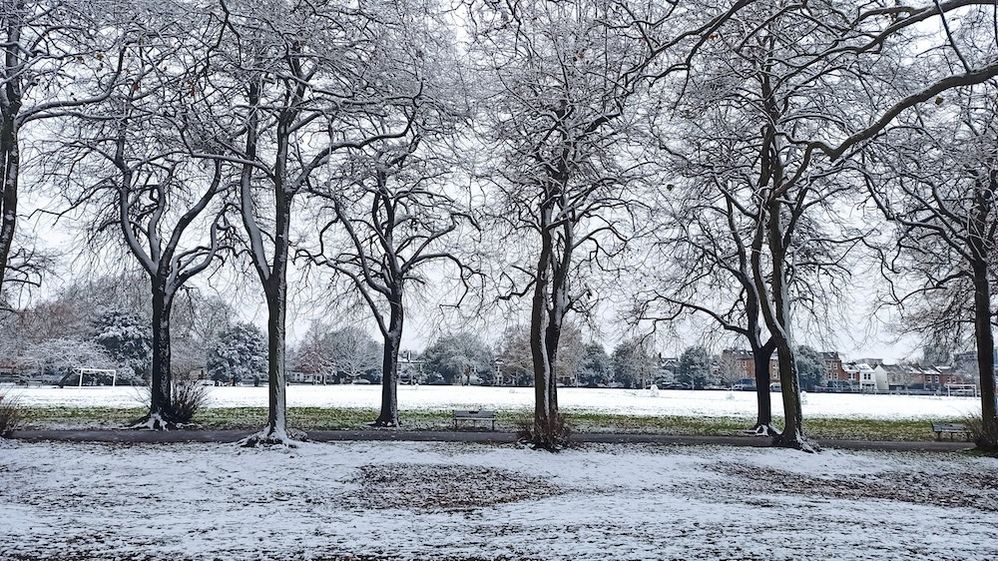 neve alberi inverso airbnb.jpg