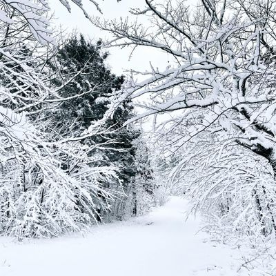 ...and made sure it snowed :)