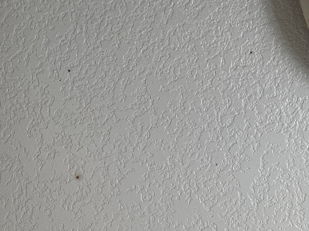 MOLD SPORES IN BATHROOM