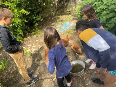 De jeunes voyageurs de Paris donnent les restes de leur repas aux poules des voisins, en échange d'œufs frais.