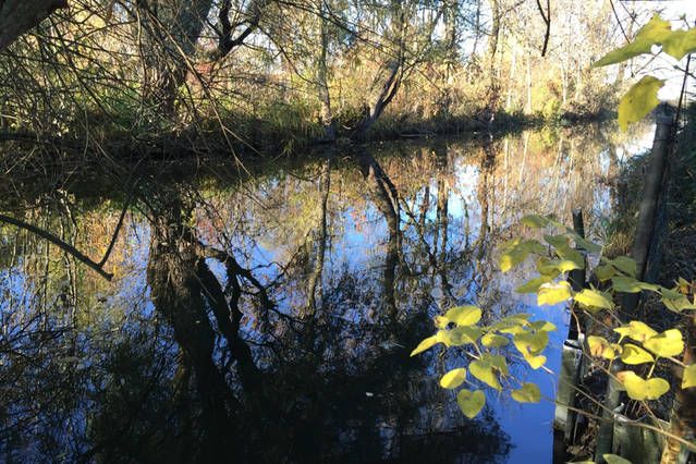 Dorfen-Fluss im Herbst