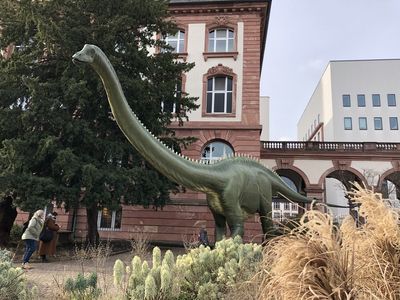 historic Senckenberg Nature Museum