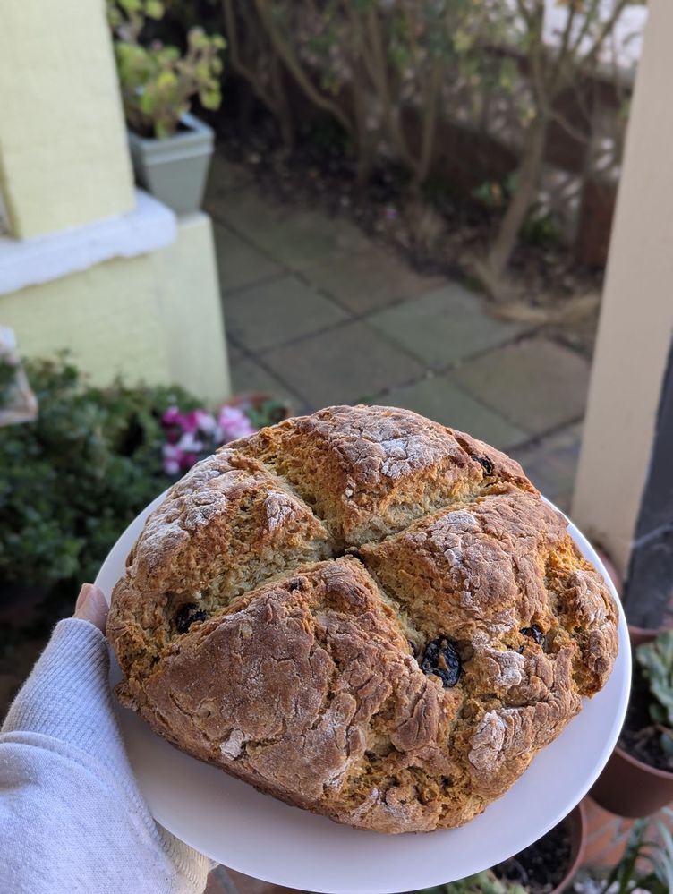 Irish soda bread with fennel and raisins