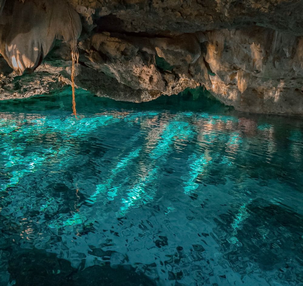 Cenote (Sinkhole) Dos Ojos 2 min walk away