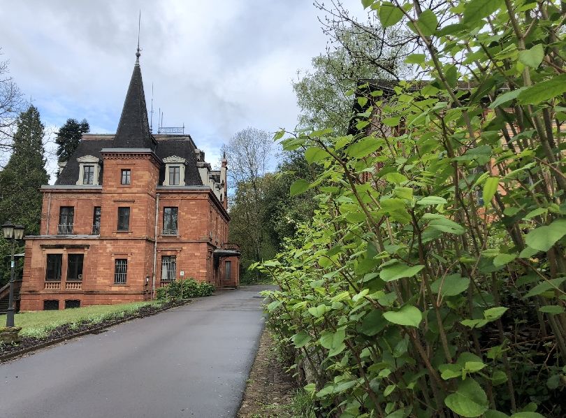 Schloss Ziegelberg