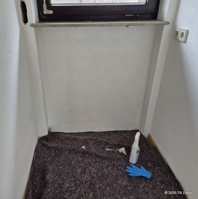 2025-07-25 13.36.09.jpg