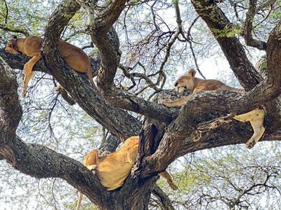 IMG_7999 Medium.jpeg