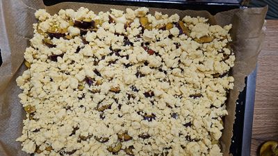 1000023007.jpg 1000023007.jpg