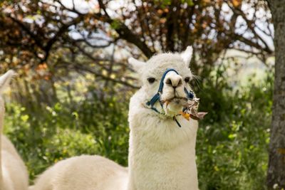 Urlaubsabmeldung 17102025001.jpg