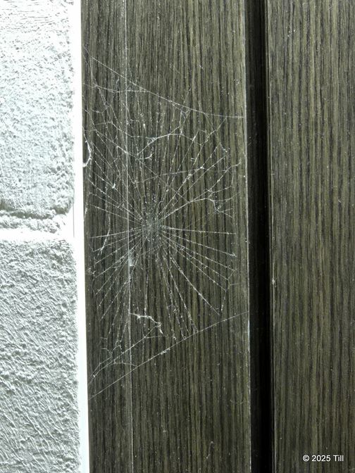 2025-11-30 12.51.37.jpg