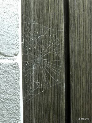 2025-11-30 12.51.37.jpg