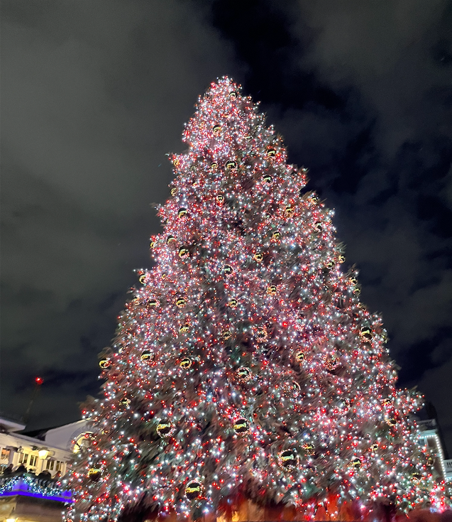 Covent Garden Christmas tree.png