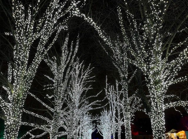 Kenwood house lights trail 2 Medium.jpeg