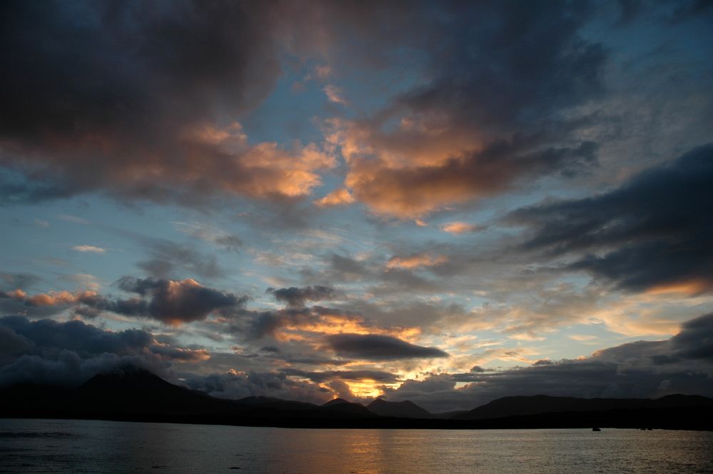 DSC_0117.jpg