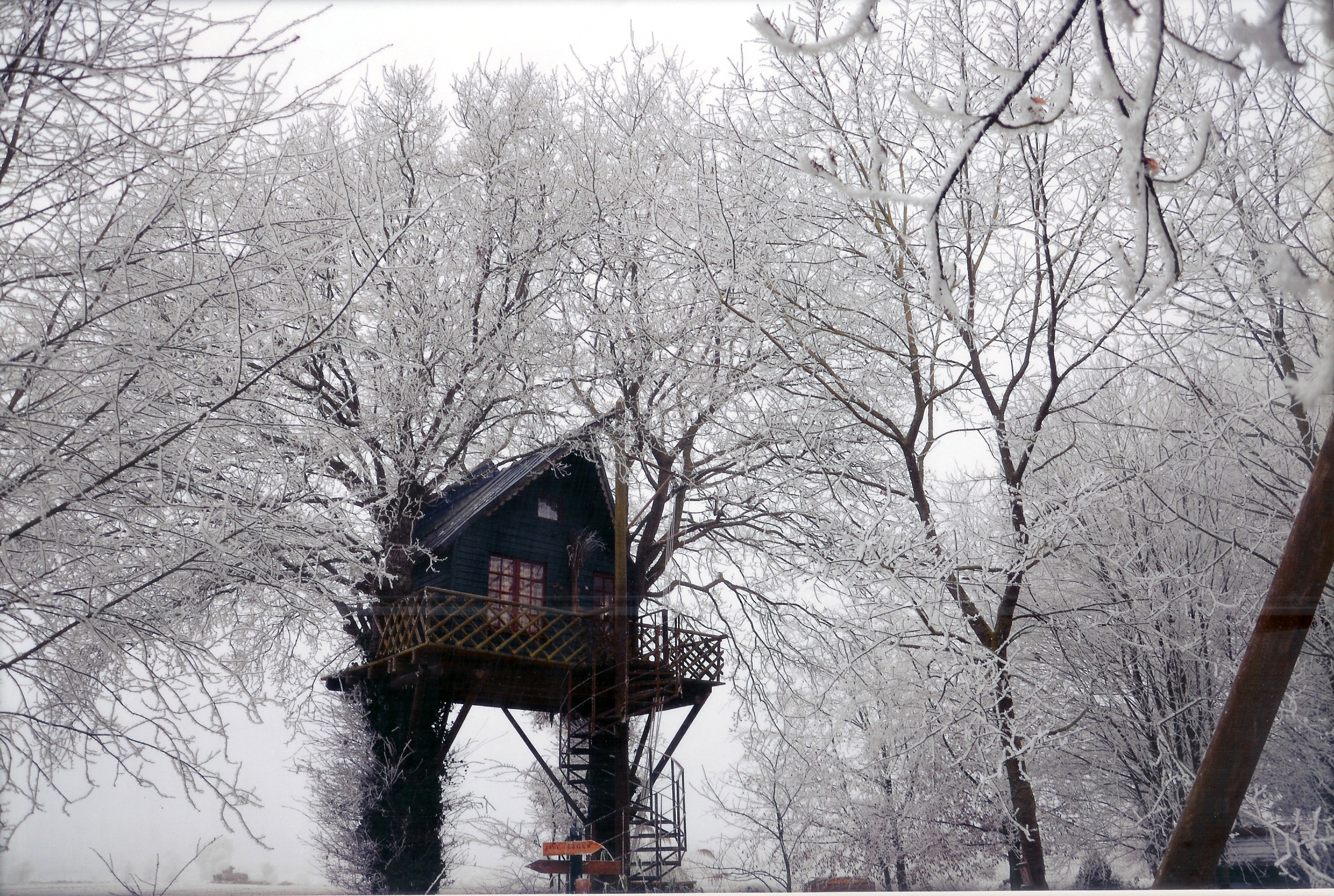 cabane hiver.jpg