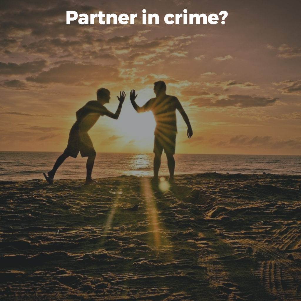 Partner in crime 2.0.png