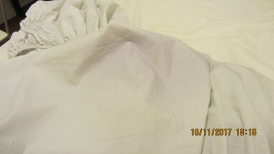 IMG_7645 4d olivia stained washcloth.JPG