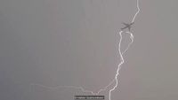 lightning strike.jpg