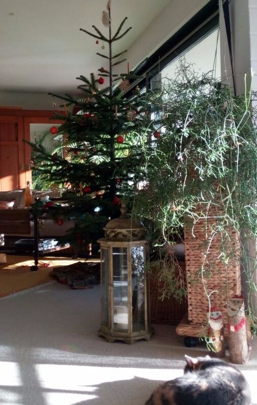 Recycling-Weihnachtsbaum