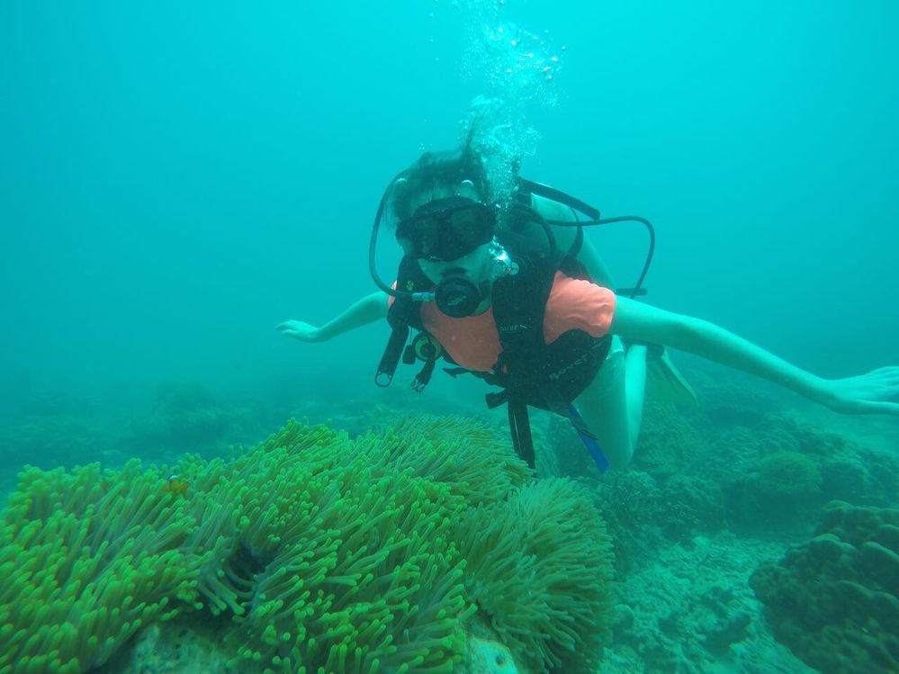 Malaysia diving.JPG