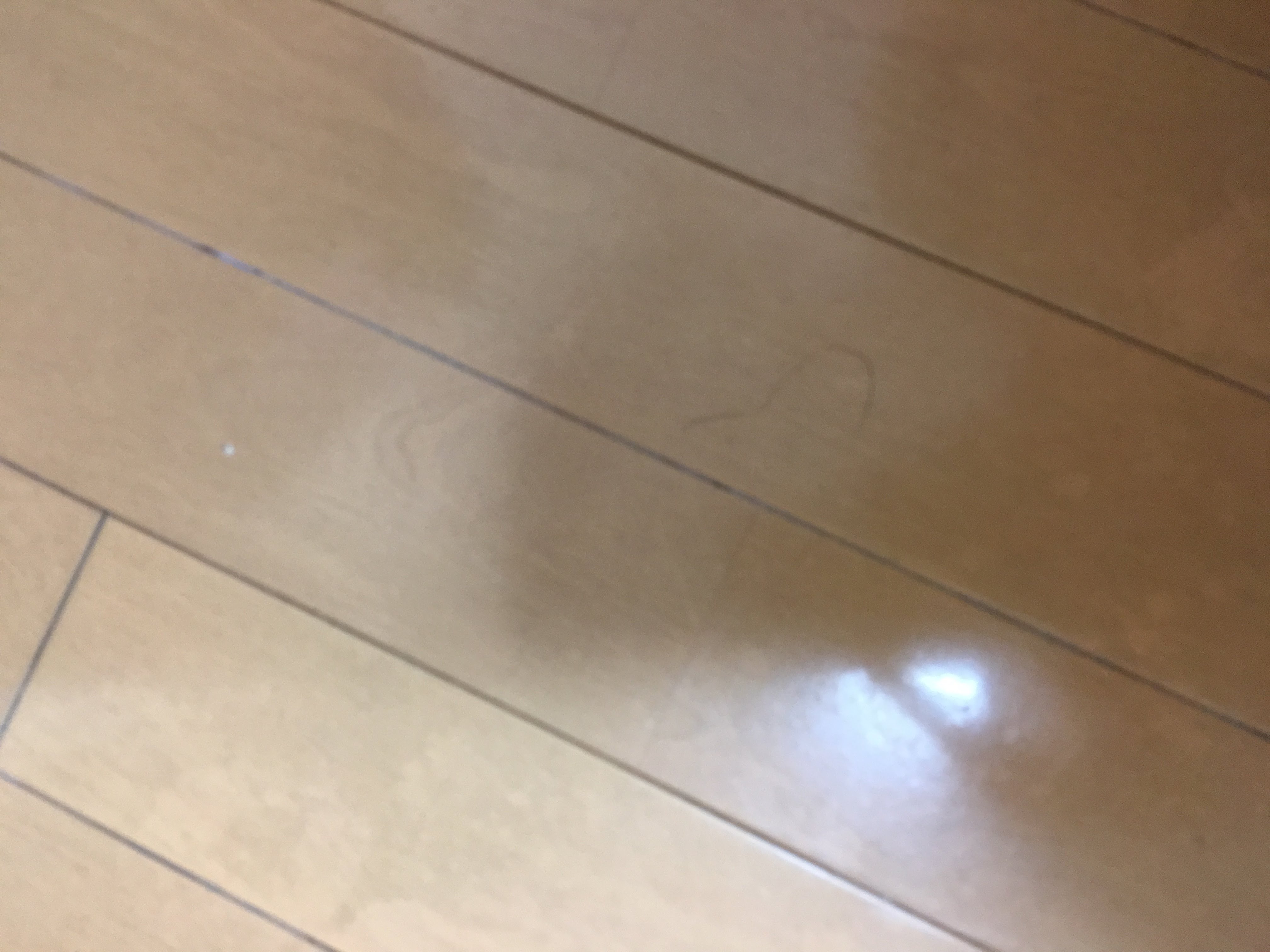 How to Involve Airbnb in a dispute? Airbnb Community