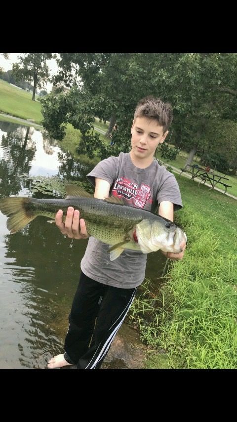 Fish in the pond. Keep the kids busy fishing. Catch and release.