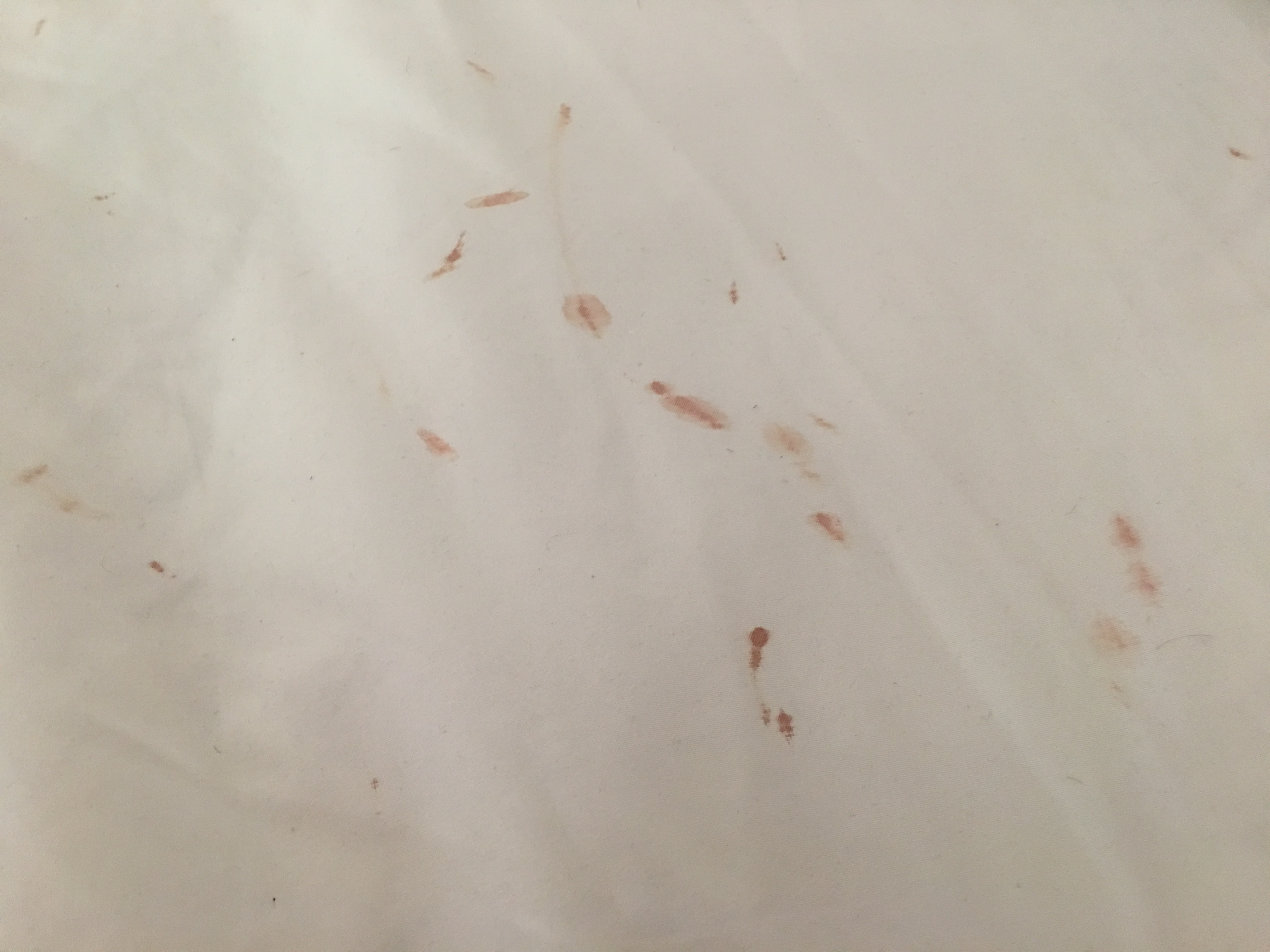 Guests said bedding had lots of blood stains, but Airbnb Community