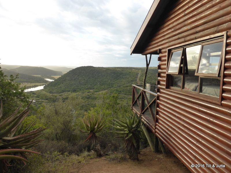 Mansfield Game Reserve