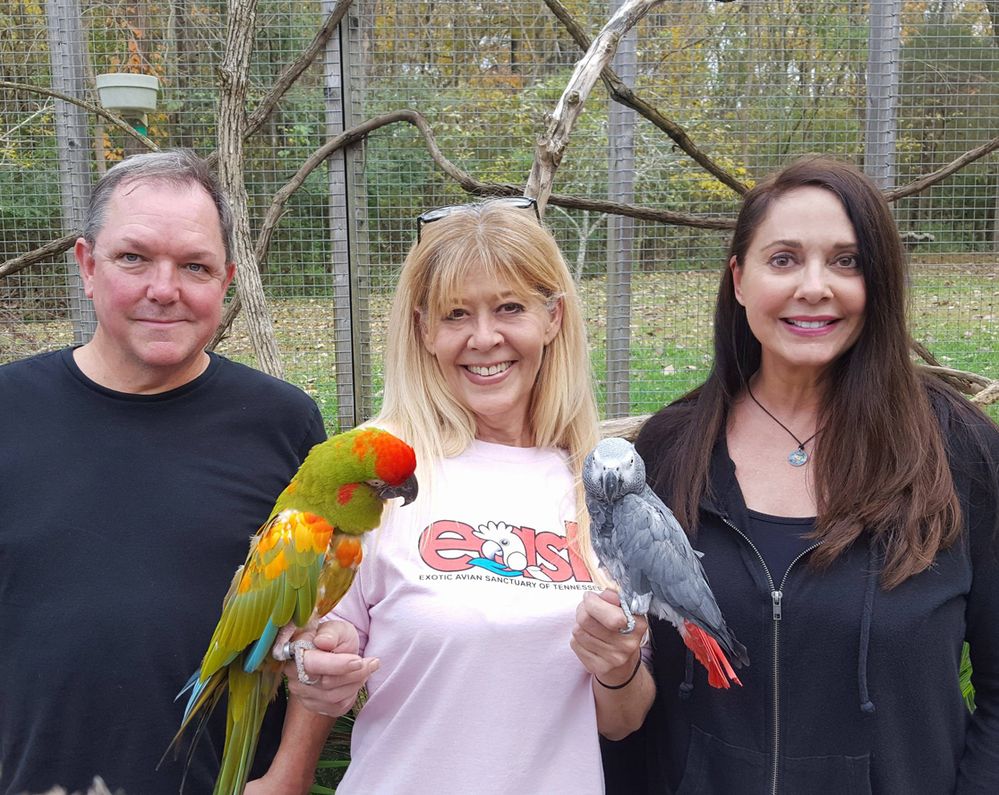 John and Kathleen with EAST founder and director Kim Hannah. We donate all our airbnb income, outside taxes and expenses, to Exotic Avian Sanctuary of Tennessee. Our guests love the idea and that their stay with us supports this wonderful parrot rescue non-profit organization.
