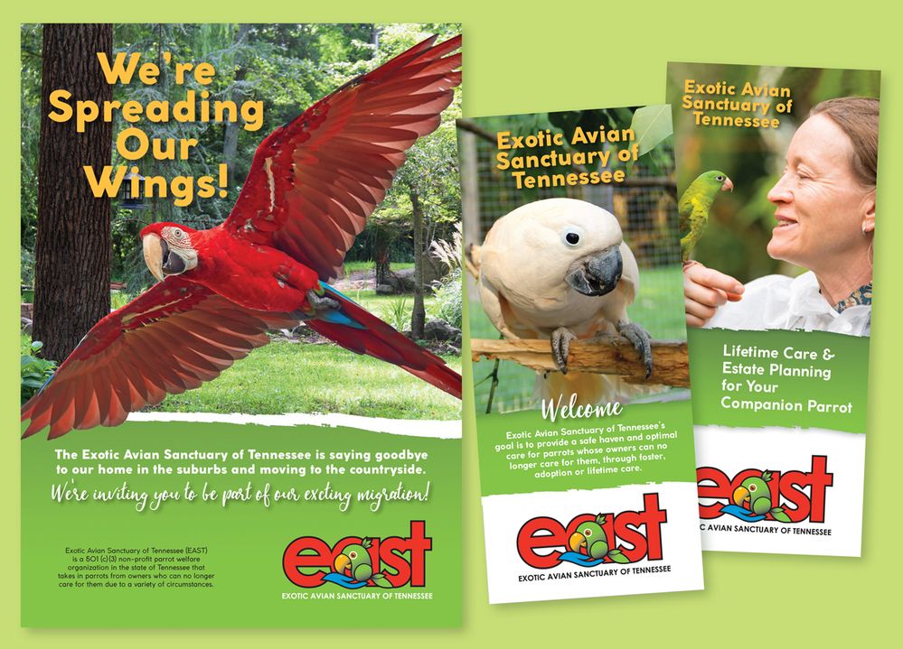 Brochures I designed and printed pro bono for EAST. It's another way we give back throughout the year.