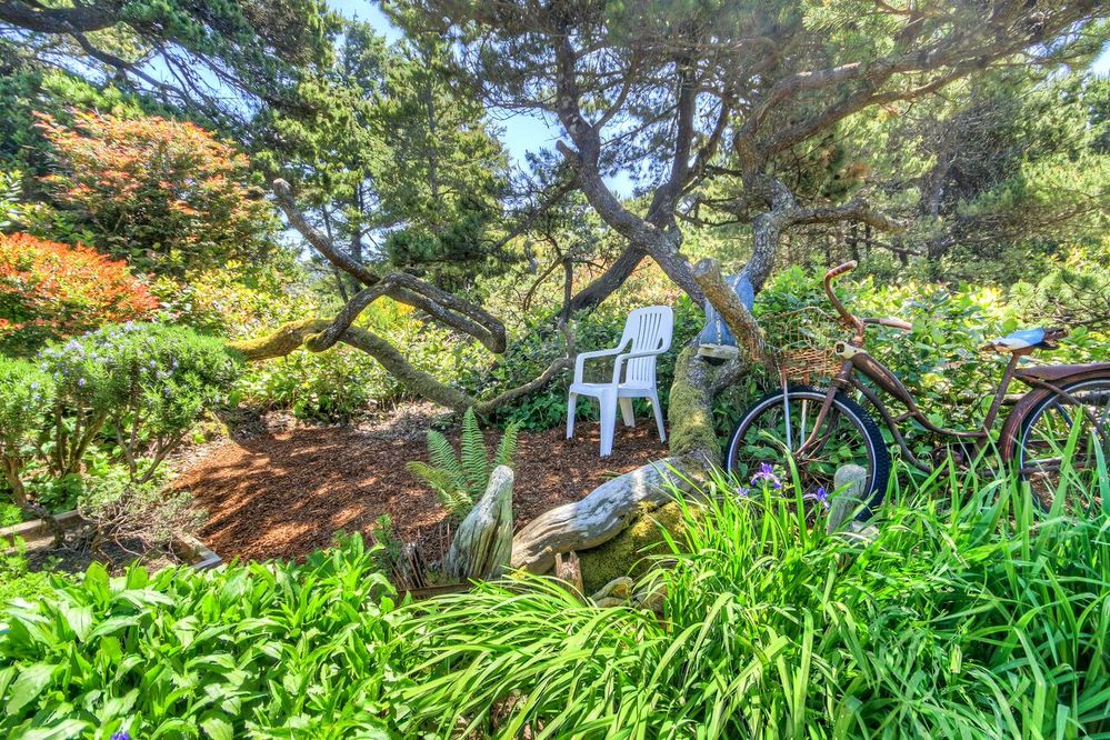chair-bike-garden.jpg
