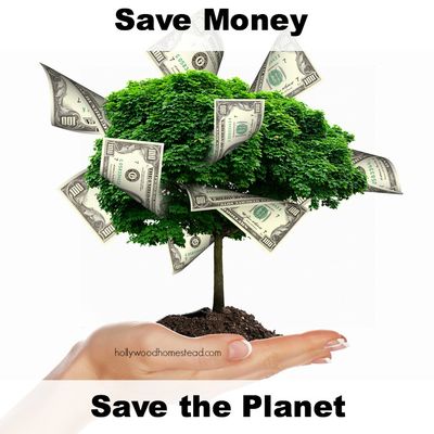 Save-Money.-Save-The-Planet.jpg