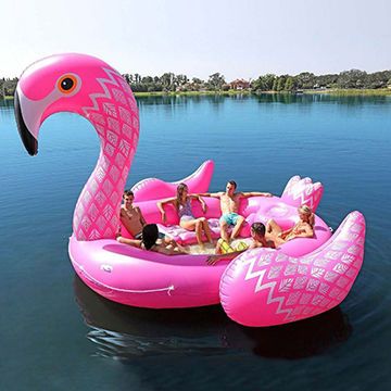 flamingo.jpg