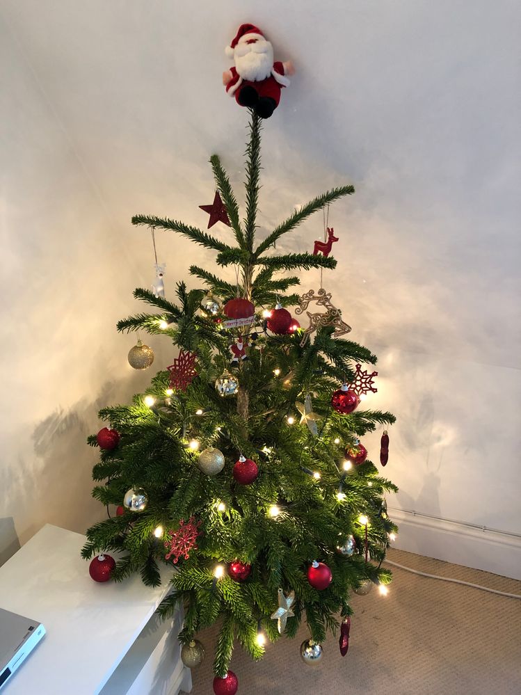 Notre petit sapin