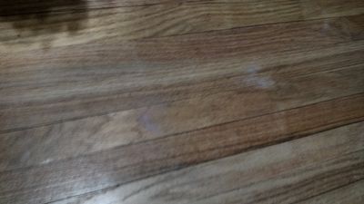 IMG_20181220_181003242 small.jpg