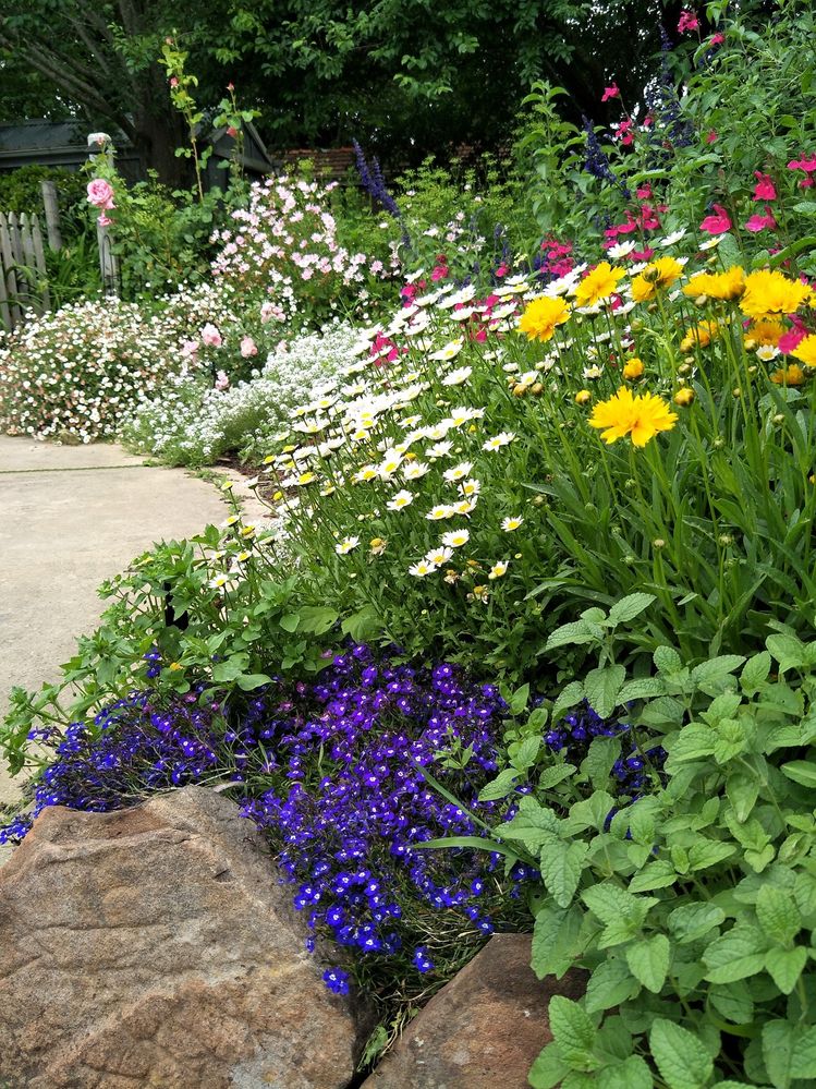 IMG20181128163305 b.jpg