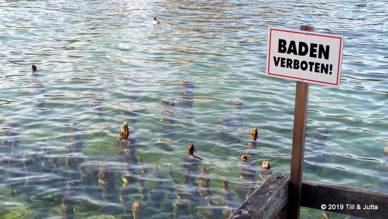 Baden im Traunsee verboten