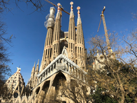 A picture I took of the Sagrada Familia in 2018