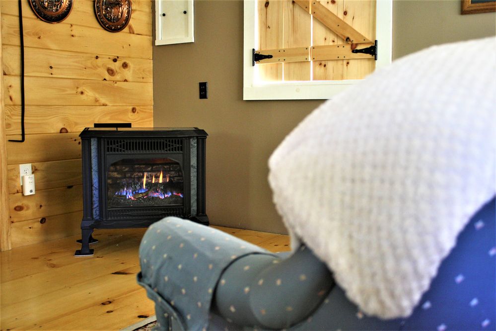 Gas Or Wood Fireplace