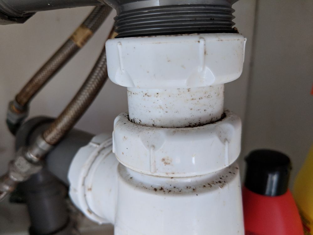 Black mold at pipe joints...