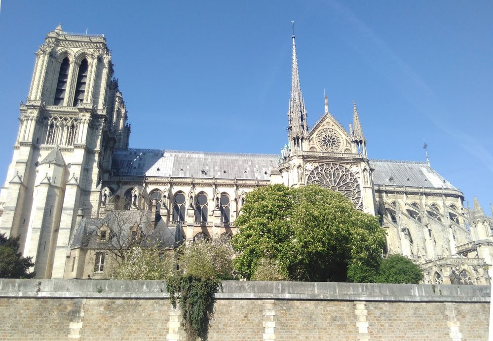 Cathédrale Notre-Dame de Paris - Copie.jpg