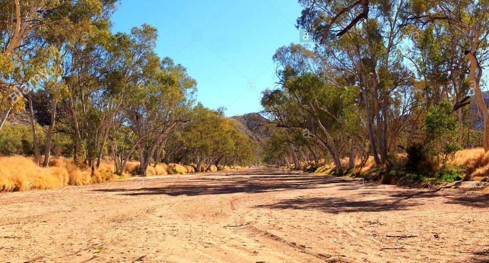 dry-sandy-creek-bed-in-the-east-macdonnell-ranges-central-australia-D1WFN8.jpg