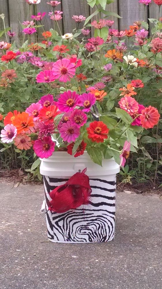 Zinnias - Love to share flowers with the guests