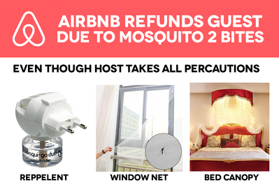 AirBnB-Mosquitoes.png
