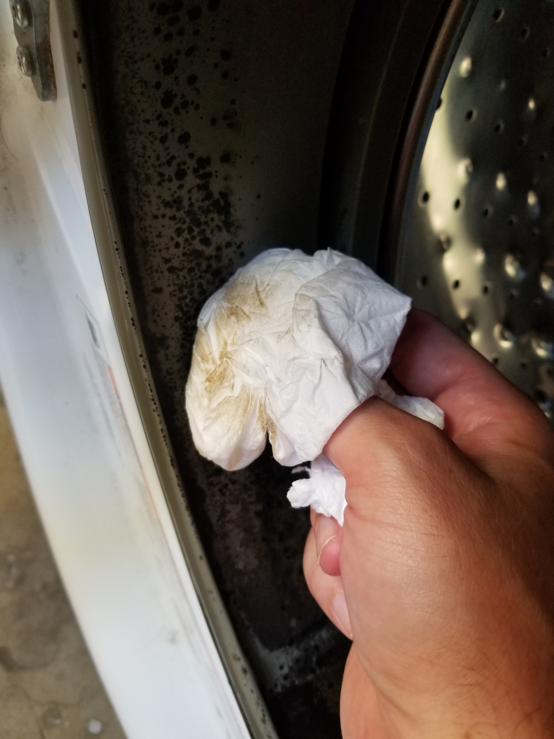 Solved Host refuses to refund guest despite BLACK MOLD fo... Airbnb