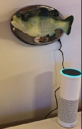 Poisson Alexa